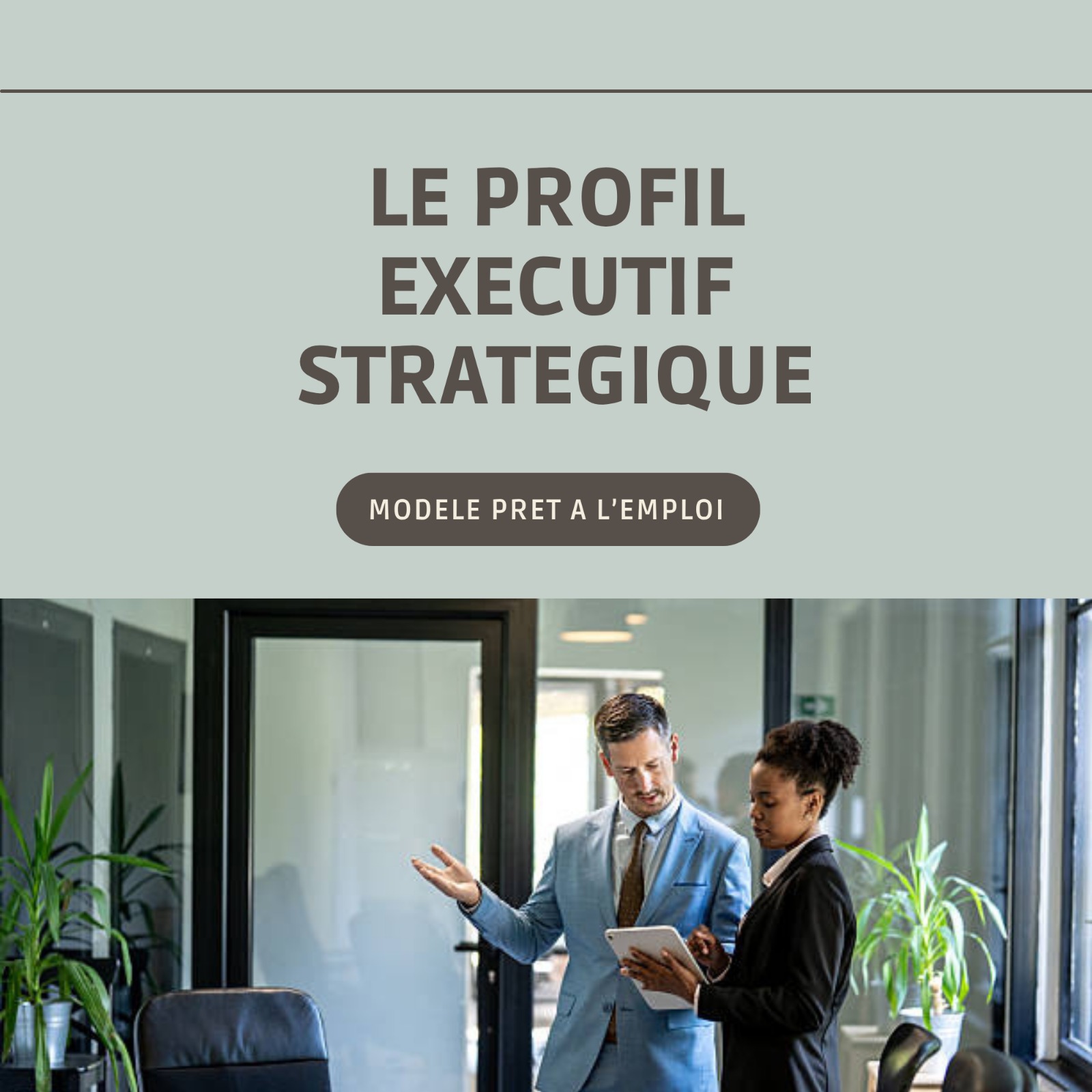 Couverture — Le Profil Exécutif Stratégique